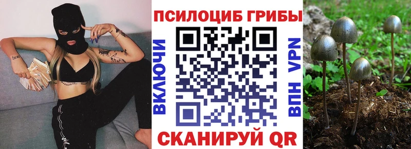 Купить  Далматово  Галлюциногенные грибы ЛСД 